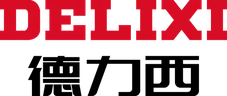 Delixi Electric