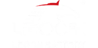 LEOCH (China)