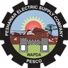 Peshawar Electric Supply Company